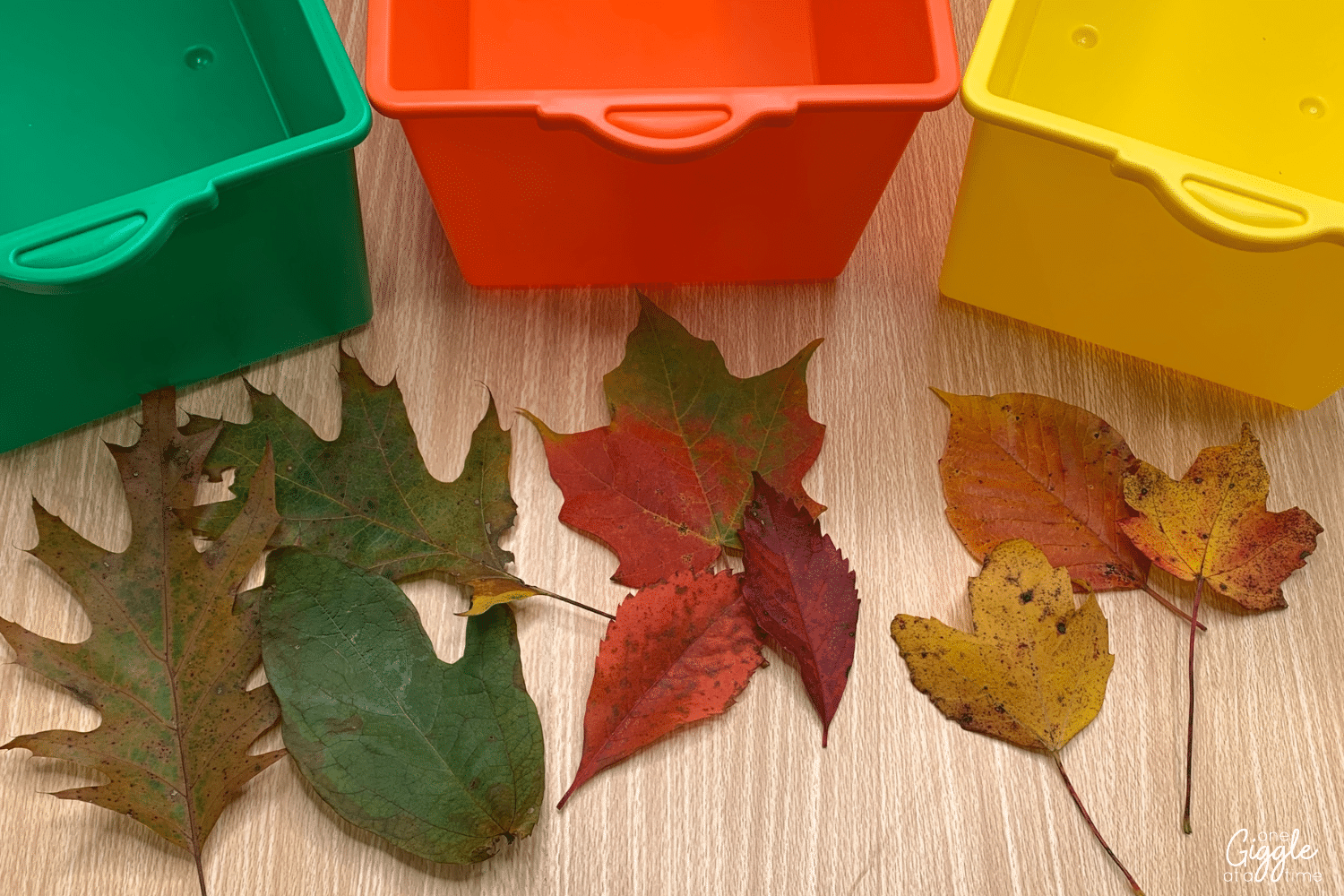 fall-activities-for-kids-leaves
