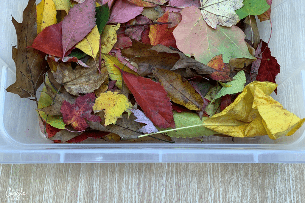 fall-activities-for-kids-leaves
