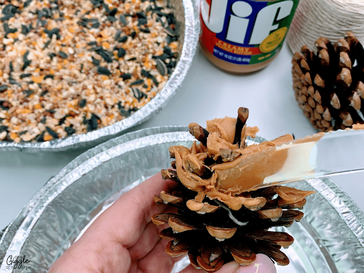 pinecone-bird-feeder-winter-activity