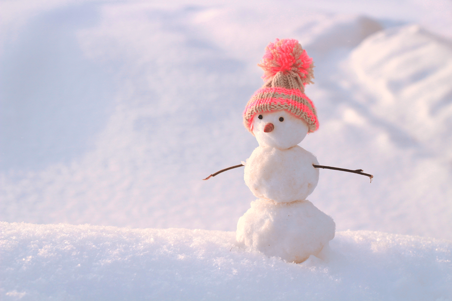 snowman-activity-stem