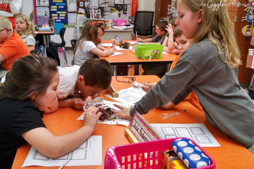 listening to peers in the classroom