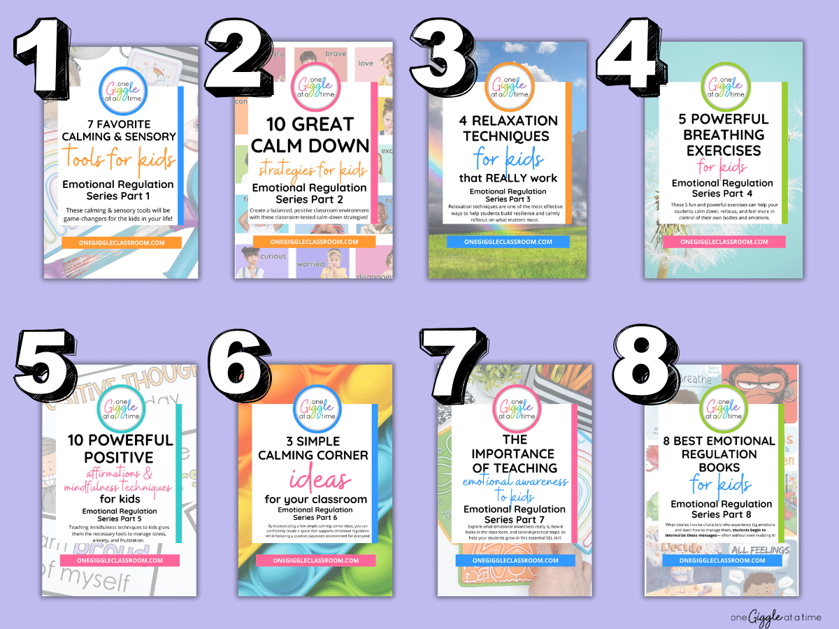 emotional regulation blog series for teachers